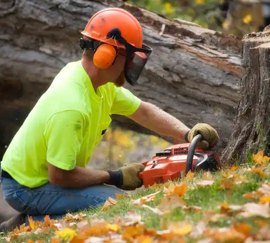 tree services Valparaiso